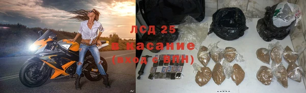 прущий лед Алзамай