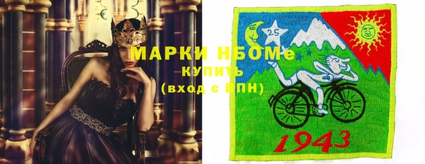 PSILOCYBIN Аркадак