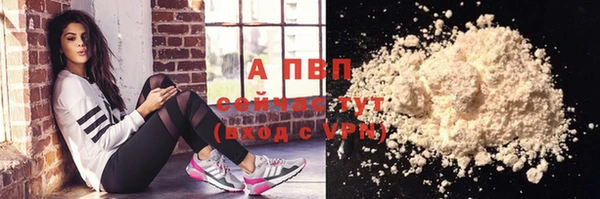PSILOCYBIN Аркадак