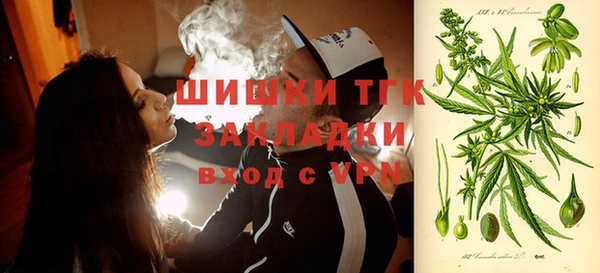 гидра Алексин